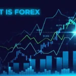 The Role of Economic Theories in Forex Robot Development