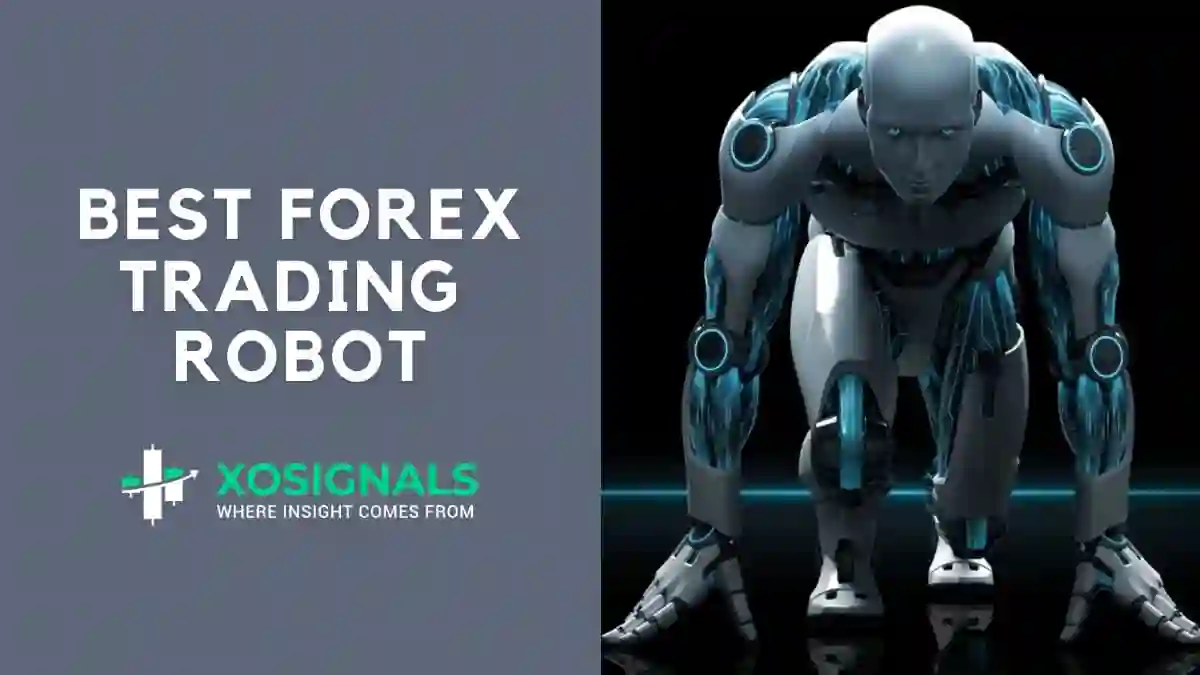 The Role of Economic Theories in Forex Robot Development